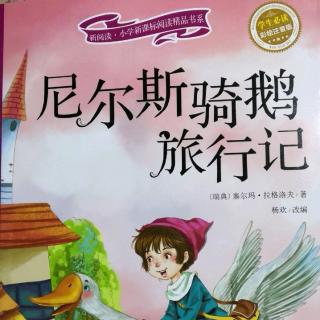 《尼尔斯骑鹅旅行记之尼尔斯骑鹅去旅行》