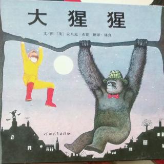 陈毅轩讲绘本故事《大猩猩》