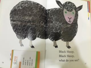 jackie Black sheep安妮花阅读馆