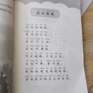 《秋叶飘飘》