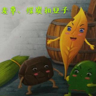 【丹朱棋艺】启迪故事会之“麦草、煤块和豆子”