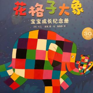 花格子大象🐘宝宝成长纪念册