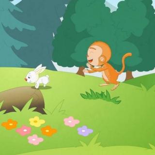 小猴摘桃丨绘本故事