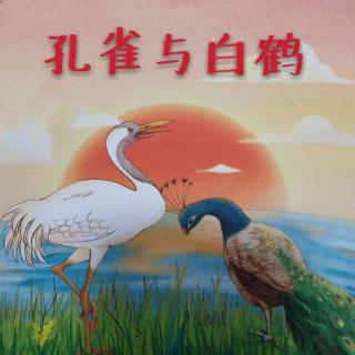 【丹朱棋艺】启迪故事会之“孔雀与白鹤”