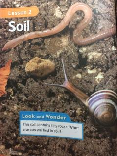 G2 Science C6L2 - Soil