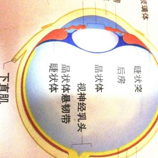 小学生科学大百科--(2)