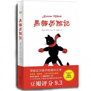 荐书丨《黑猫历险记》