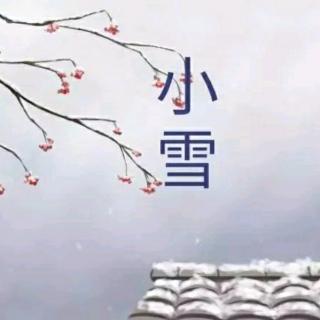 小雪‖一片冰心   最美初见