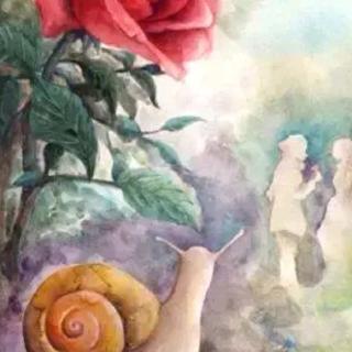 蜗牛和玫瑰树
