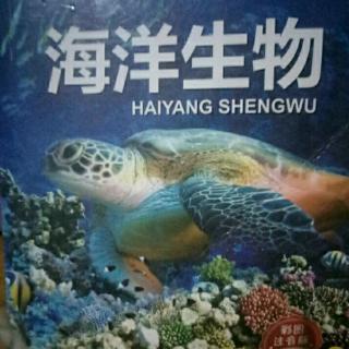 海洋生物(8)百科全书