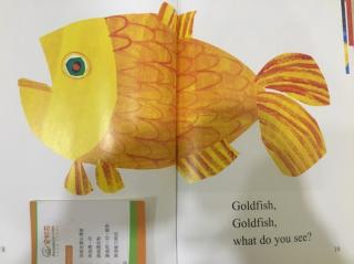 jackie goldfish 安妮花阅读馆