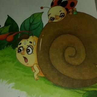 蜗牛为什么背着硬壳屋