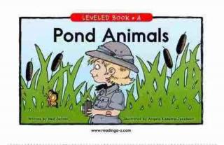 K14 Pond Animals