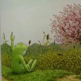 青蛙🐸王子历险记