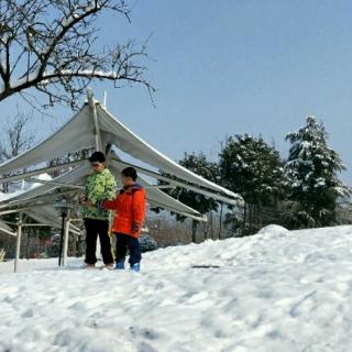 雪  是凝固的思念  作者 吴振  主播 木子