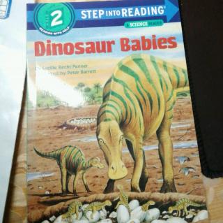 Dinosaur  Babies