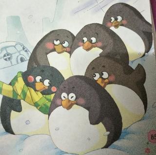 企鹅🐧幼儿园