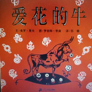 麦老师读绘本.30.《🌼🐮爱花的牛》