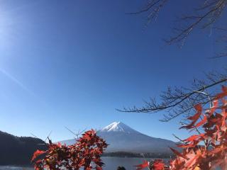 阅读训练营day 27