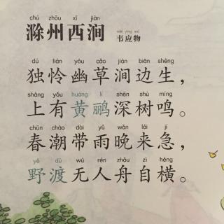 56,《滁州西澗》韋應物【唐詩】