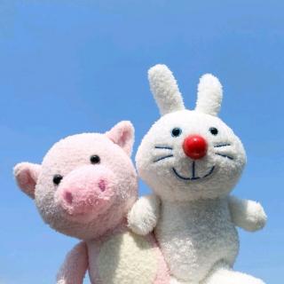 晚安故事|  大兔子和小兔子🐰