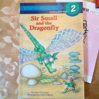 sir  small  and  the  Dragonfly