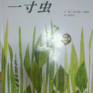 陈毅轩讲绘本故事《一寸虫》