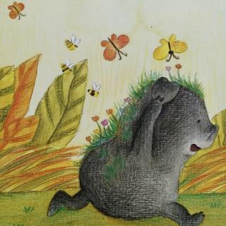 《会开花的黑皮猪》美丽微童话