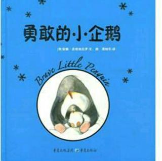 汉溪幼儿园小叶老师讲故事《勇敢的小企鹅》