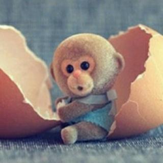 第44期故事【猴子偷鸡蛋】