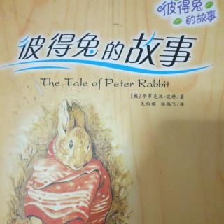 世界第一本绘本《彼得兔的故事》