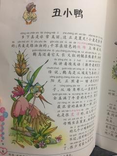 丑小鸭上集