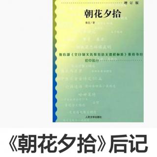 朝花夕拾—后记上