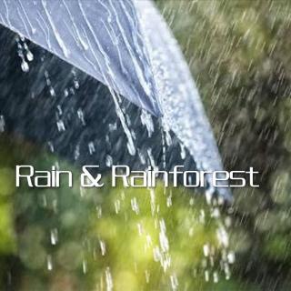 [雨音&雨林]-Rain & Rain-forest