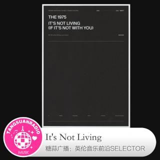 糖蒜爱音乐之The Selector：It's Not Living