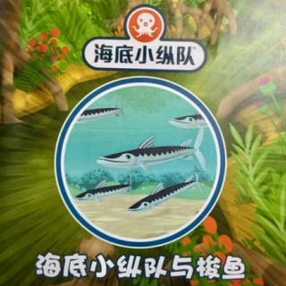 【故事】海底小纵队与梭鱼