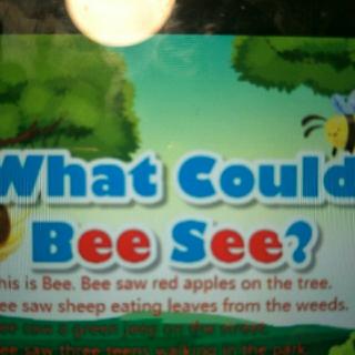 What Could Bee See?