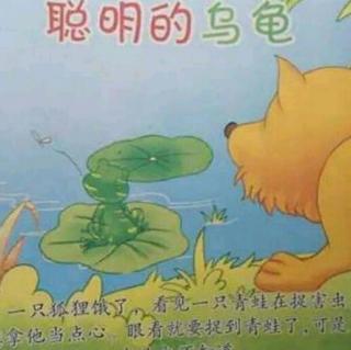 故事《聪明的乌龟》