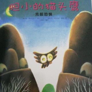 《胆小的猫头鹰》