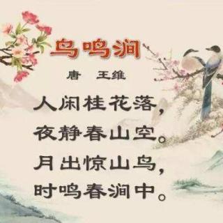 【古诗】王维《鸟鸣涧》