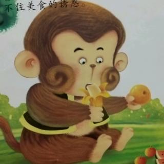 童话故事～【孝顺的馋嘴猴】