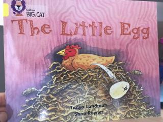 黄色大猫～The Little Egg