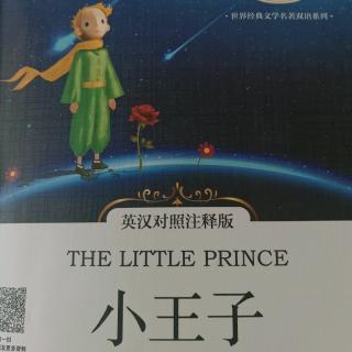 The Little Prince-Chapter5(上)双语阅读