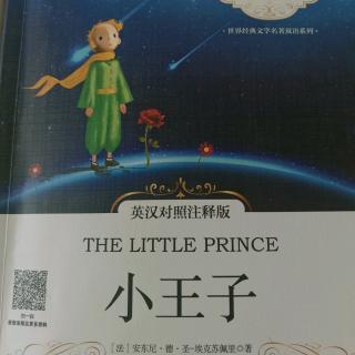 The Little Prince-Chapter5(下)双语阅读