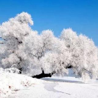 《雪冬听风》_桑山