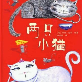 两只小猫🐱