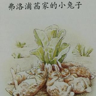 《弗洛浦茜家的小兔子》