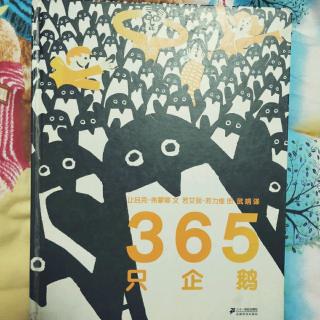 365只企鹅🐧