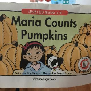 Maria Counts Pumpkins