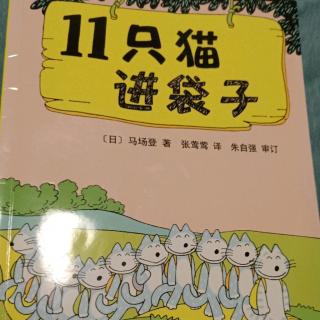 11只猫进袋子3